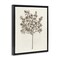 Stupell Industries Vintage Study of Olive Tree Floating Frame Design by Phillipa Katz